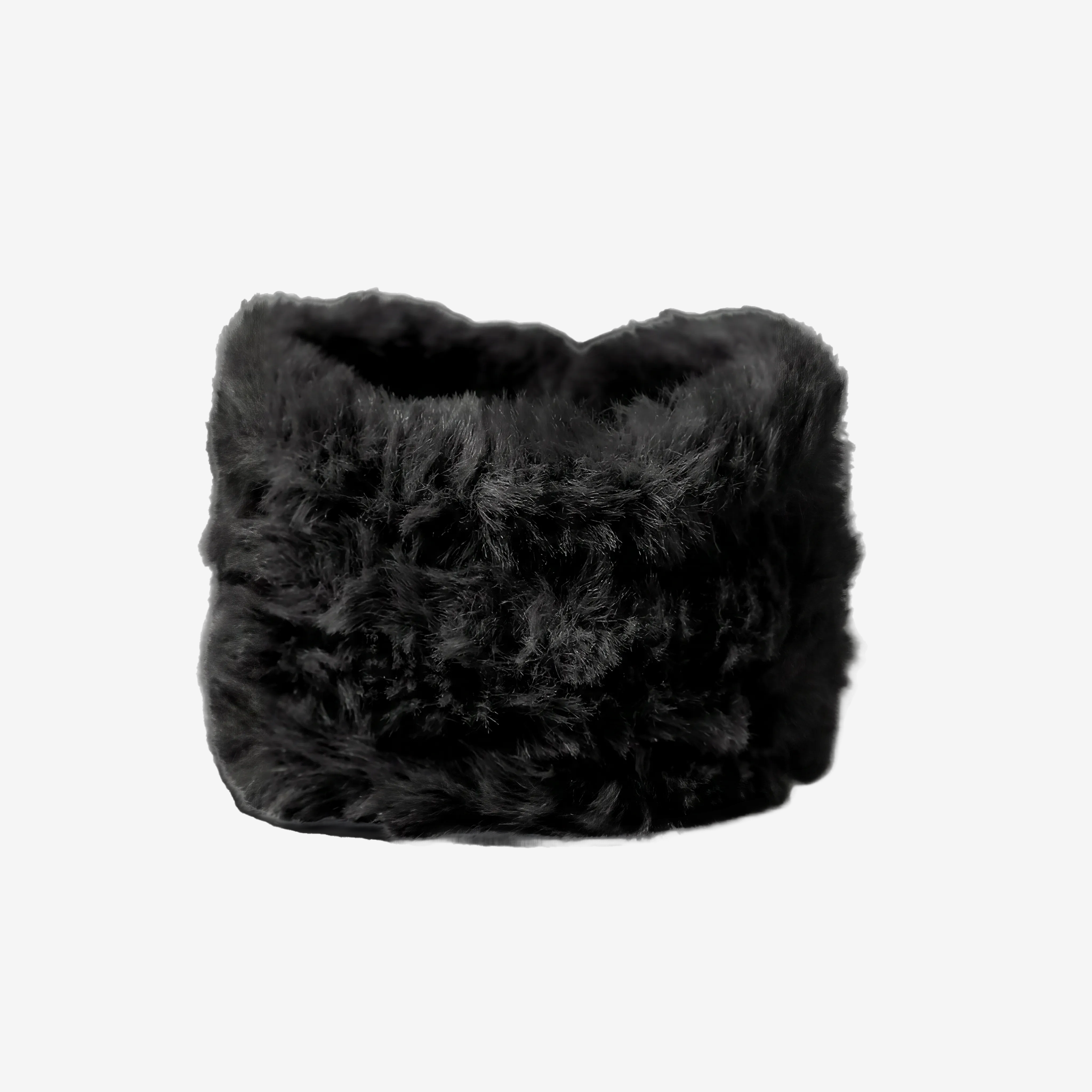 FGNNB-FCS02-010