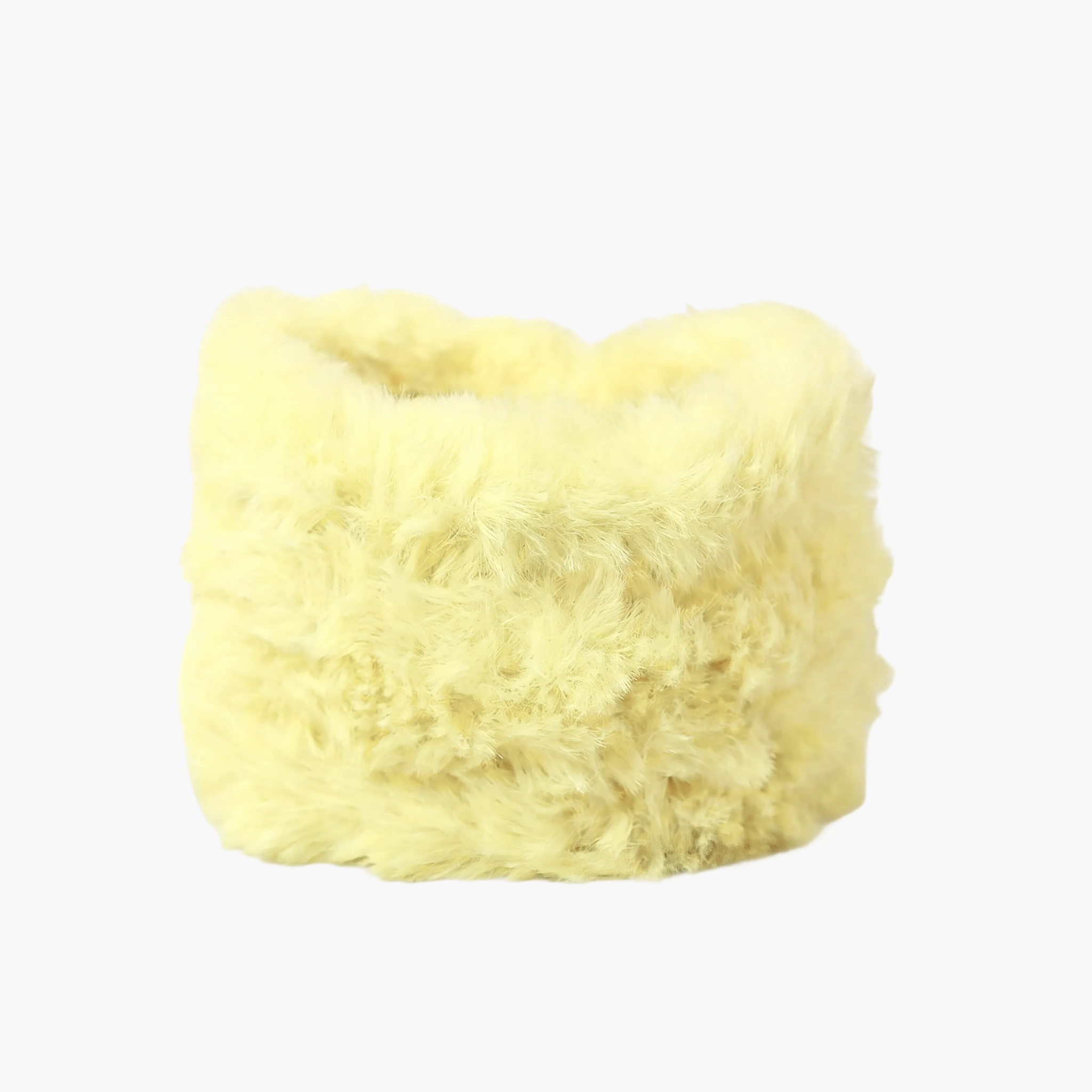 FGNNB-FCS02-012